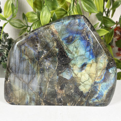 Natural Labradorite Freeform Polished Crystal Display Stone Madagascar 5.25 Inch