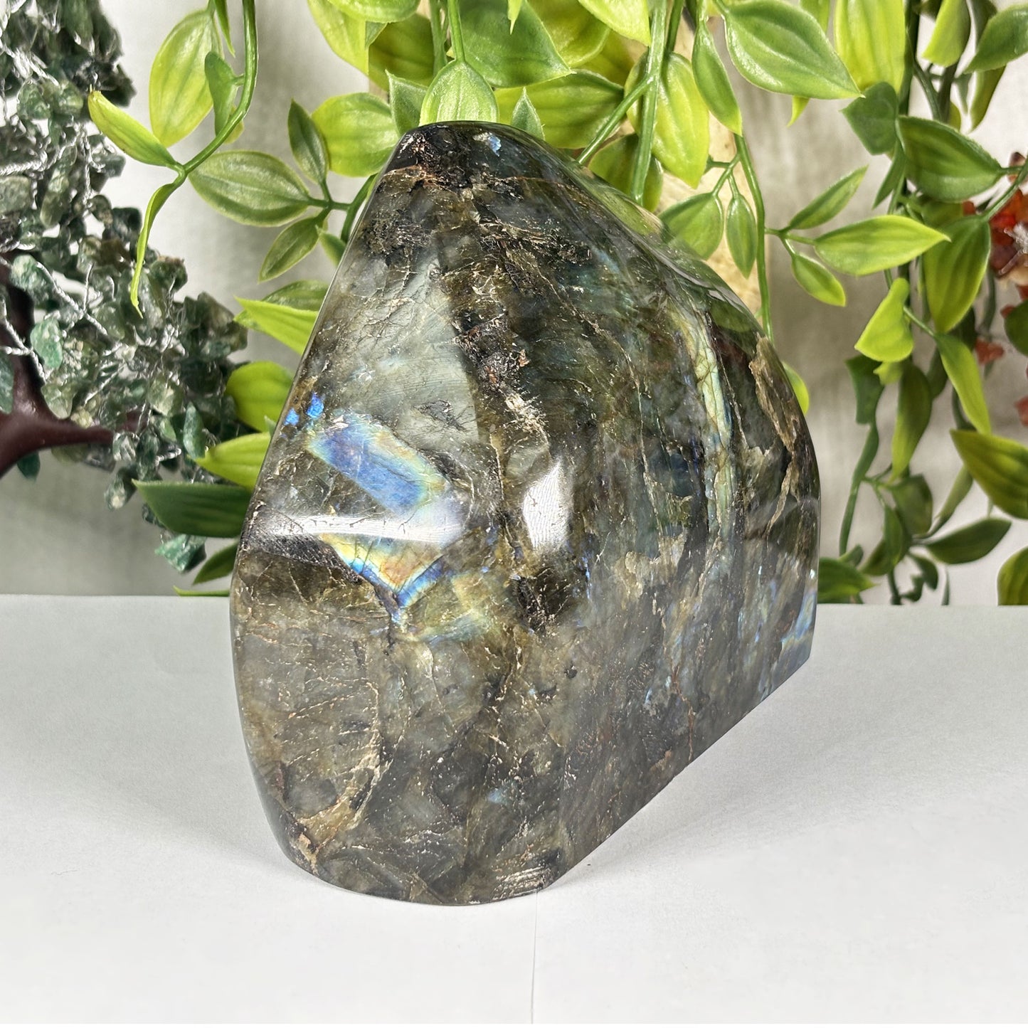 Natural Labradorite Freeform Polished Crystal Display Stone Madagascar 5.25 Inch