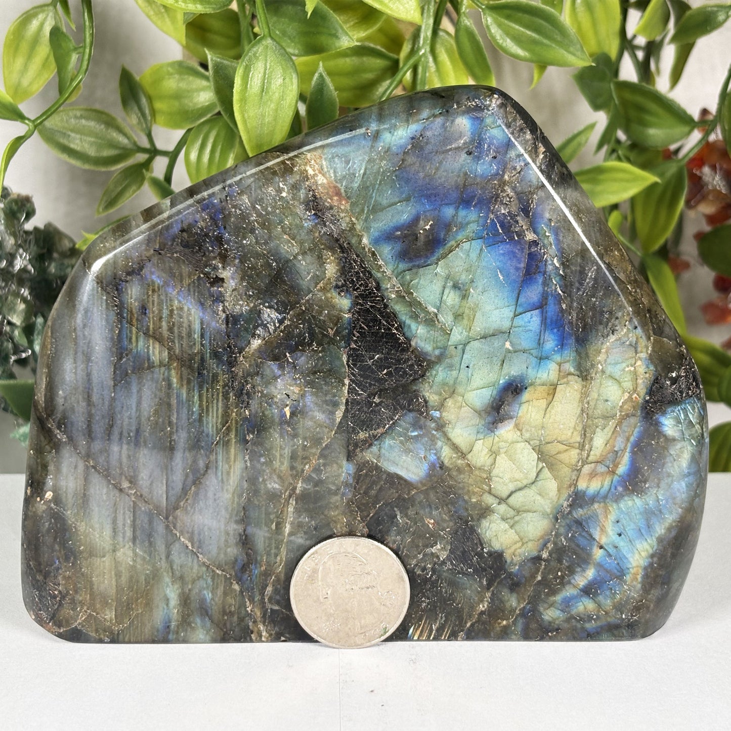 Natural Labradorite Freeform Polished Crystal Display Stone Madagascar 5.25 Inch