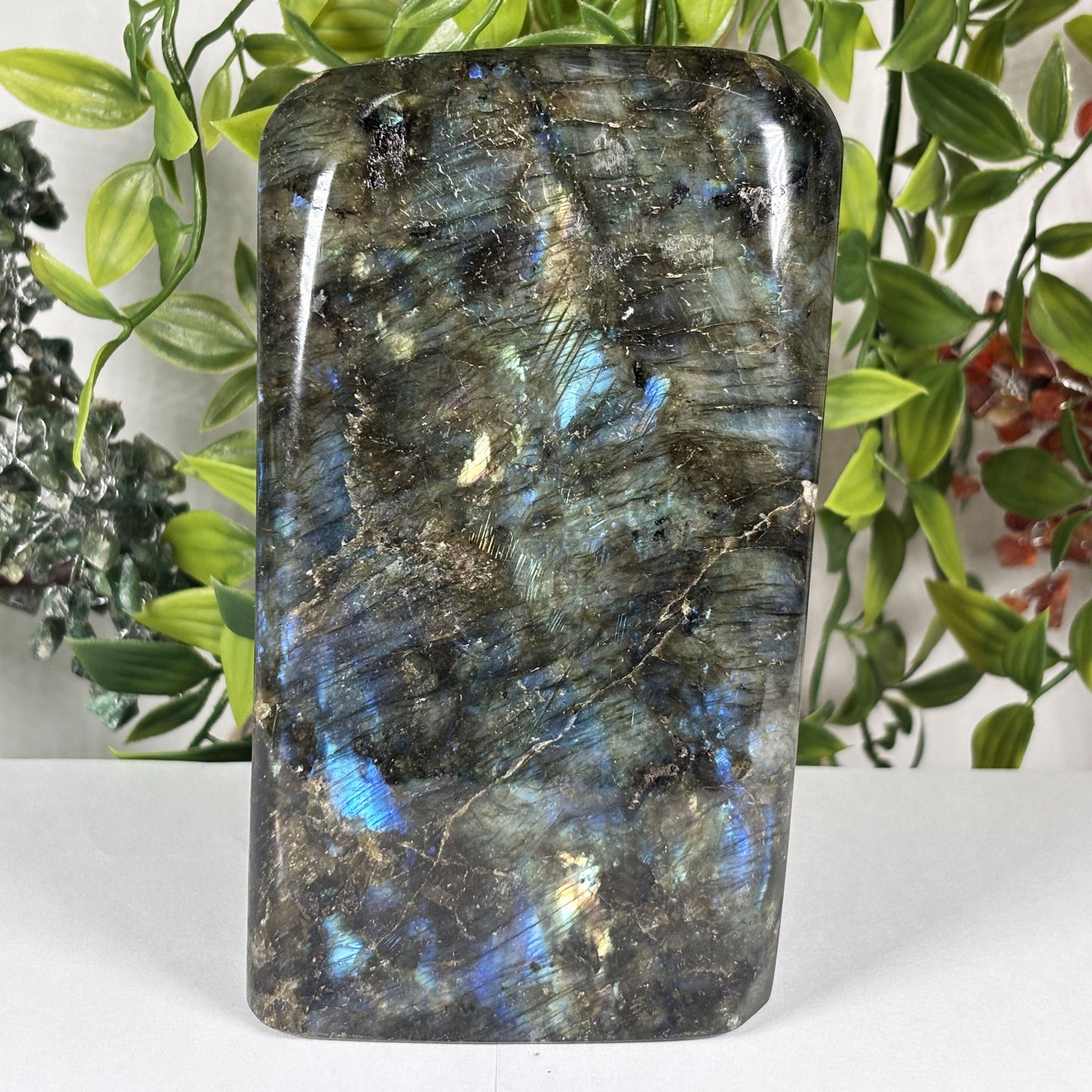 Natural Labradorite Freeform Crystal 5.5 Inch Polished Madagascar Flash Stone for Home Décor & Collectors