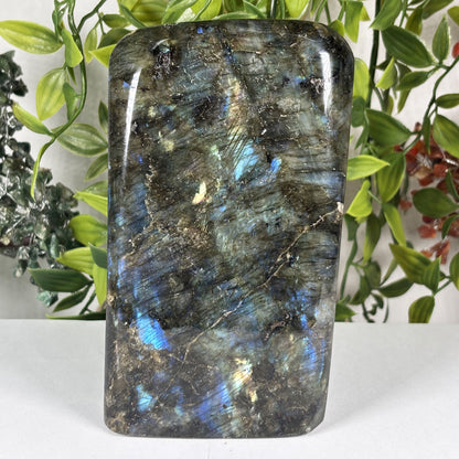 Natural Labradorite Freeform Crystal 5.5 Inch Polished Madagascar Flash Stone for Home Décor & Collectors