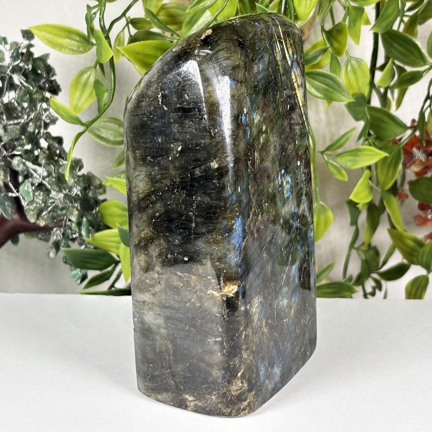 Natural Labradorite Freeform Crystal 5.5 Inch Polished Madagascar Flash Stone for Home Décor & Collectors