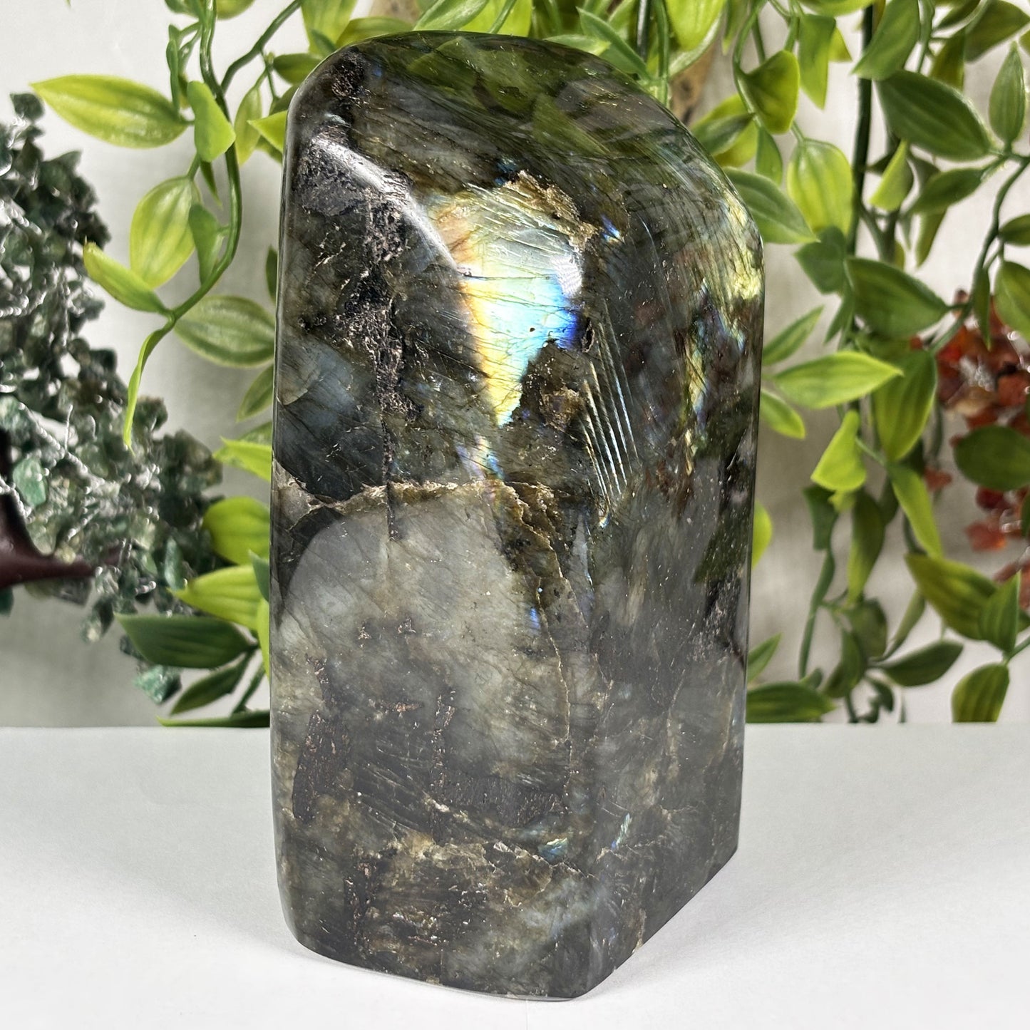 Natural Labradorite Freeform Crystal 5.5 Inch Polished Madagascar Flash Stone for Home Décor & Collectors