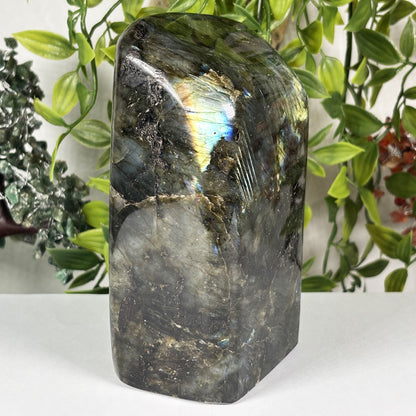 Natural Labradorite Freeform Crystal 5.5 Inch Polished Madagascar Flash Stone for Home Décor & Collectors