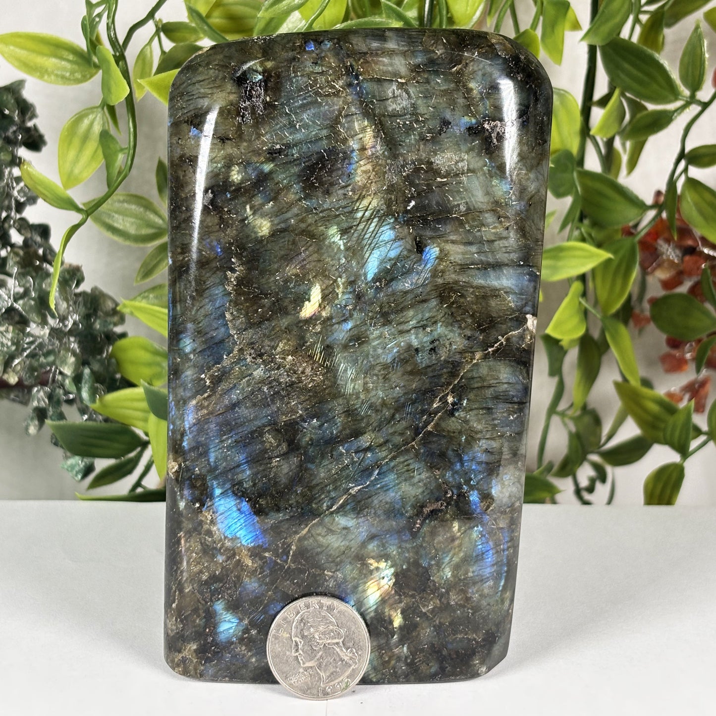 Natural Labradorite Freeform Crystal 5.5 Inch Polished Madagascar Flash Stone for Home Décor & Collectors