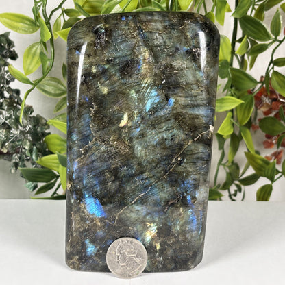 Natural Labradorite Freeform Crystal 5.5 Inch Polished Madagascar Flash Stone for Home Décor & Collectors