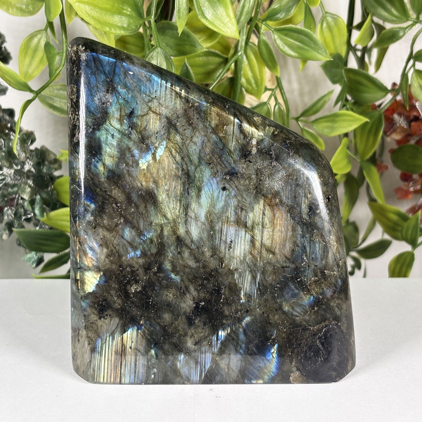 Natural Labradorite Freeform Crystal 4.5 Inch Polished Madagascar Flash Stone for Home Decor & Collectors