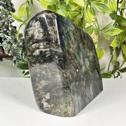 Natural Labradorite Freeform Crystal 4.5 Inch Polished Madagascar Flash Stone for Home Decor & Collectors