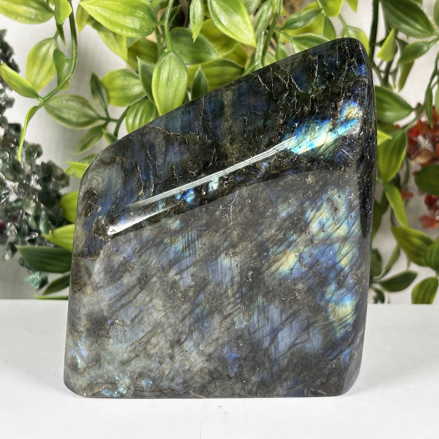 Natural Labradorite Freeform Crystal 4.5 Inch Polished Madagascar Flash Stone for Home Decor & Collectors