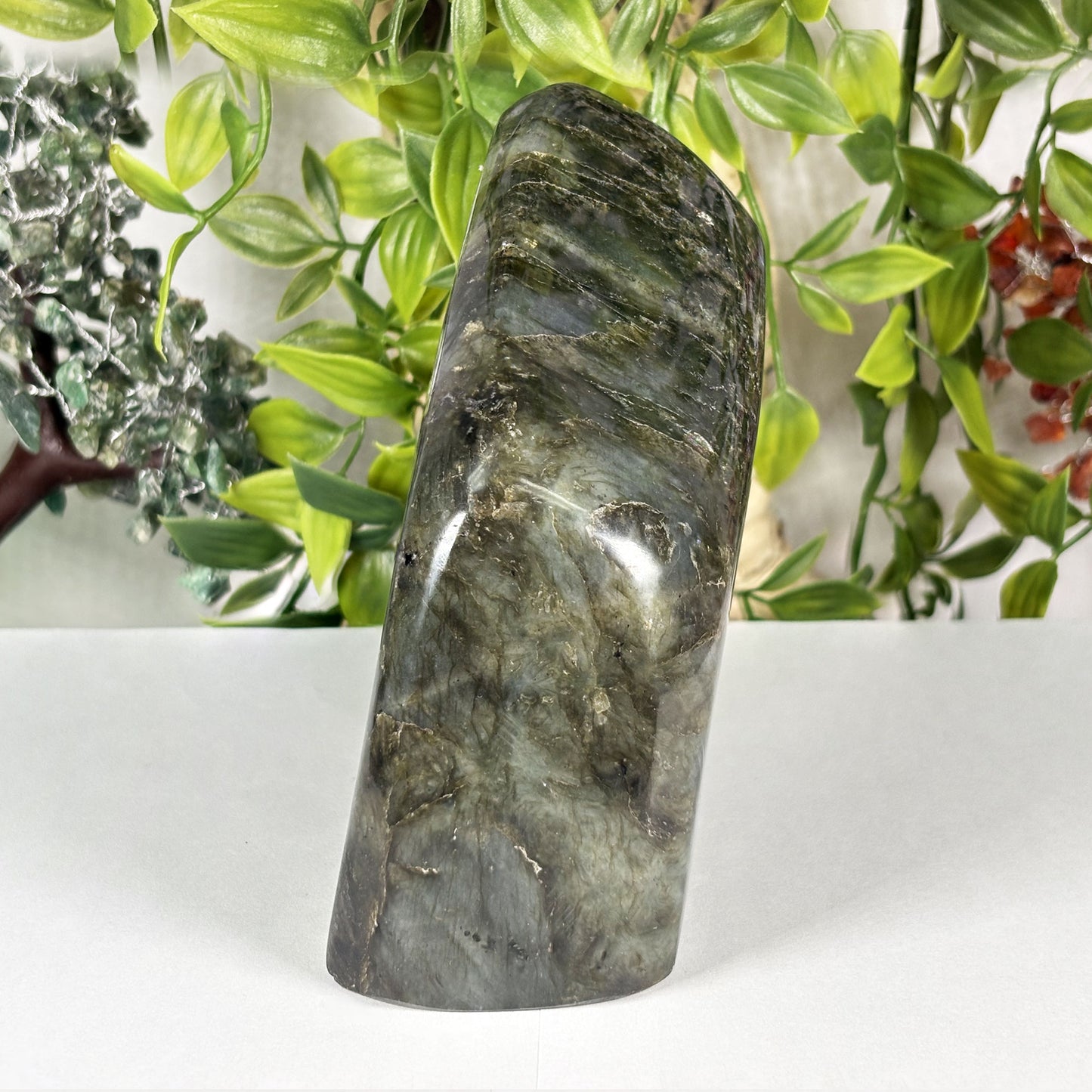 Natural Labradorite Freeform Crystal 4.5 Inch Polished Madagascar Flash Stone for Home Decor & Collectors