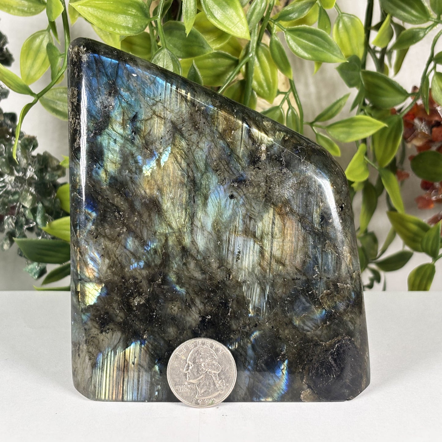 Natural Labradorite Freeform Crystal 4.5 Inch Polished Madagascar Flash Stone for Home Decor & Collectors