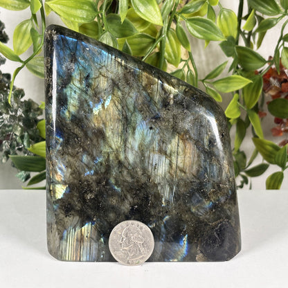 Natural Labradorite Freeform Crystal 4.5 Inch Polished Madagascar Flash Stone for Home Decor & Collectors