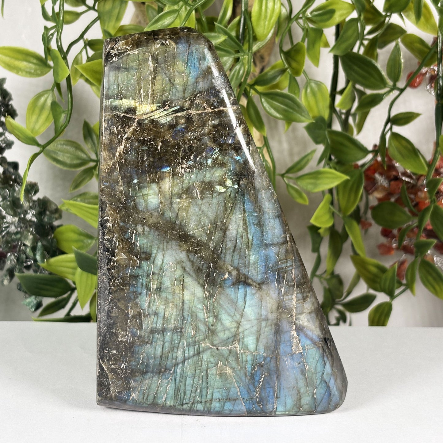 Natural Labradorite Freeform Crystal 5.75 Inch Polished Madagascar Flash Stone for Home Décor & Collectors