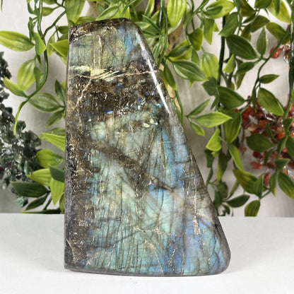 Natural Labradorite Freeform Crystal 5.75 Inch Polished Madagascar Flash Stone for Home Décor & Collectors