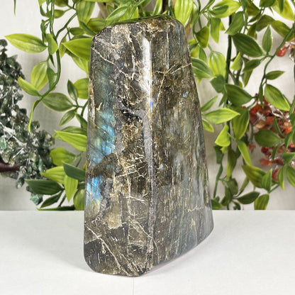 Natural Labradorite Freeform Crystal 5.75 Inch Polished Madagascar Flash Stone for Home Décor & Collectors