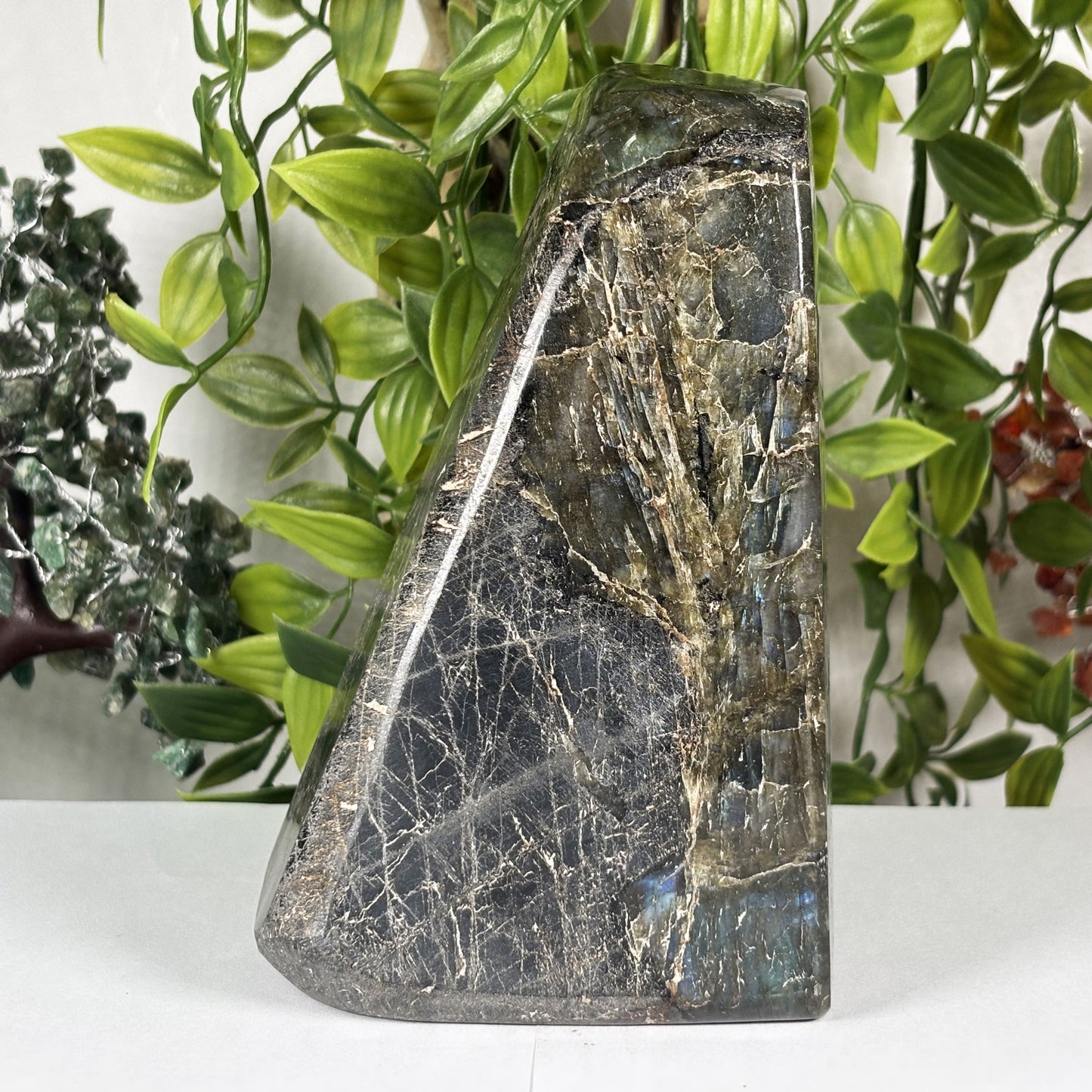 Natural Labradorite Freeform Crystal 5.75 Inch Polished Madagascar Flash Stone for Home Décor & Collectors