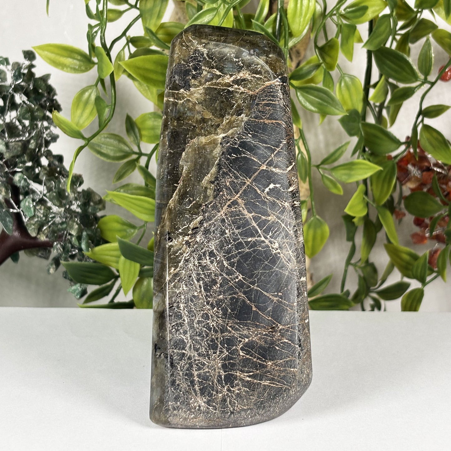 Natural Labradorite Freeform Crystal 5.75 Inch Polished Madagascar Flash Stone for Home Décor & Collectors