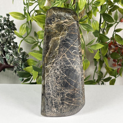 Natural Labradorite Freeform Crystal 5.75 Inch Polished Madagascar Flash Stone for Home Décor & Collectors