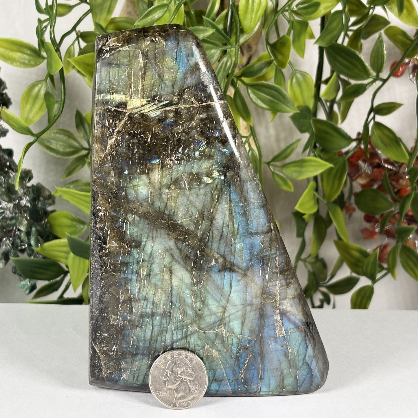 Natural Labradorite Freeform Crystal 5.75 Inch Polished Madagascar Flash Stone for Home Décor & Collectors