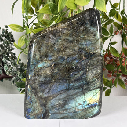 Natural Labradorite Freeform Crystal 6.75 Inch Polished Madagascar Flash Stone for Home Decor & Collectors