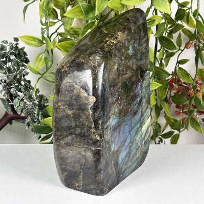 Natural Labradorite Freeform Crystal 6.75 Inch Polished Madagascar Flash Stone for Home Decor & Collectors