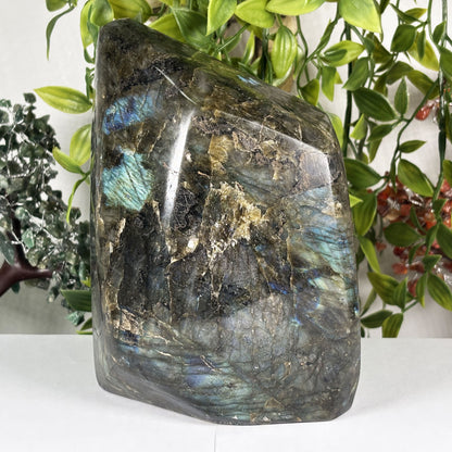 Natural Labradorite Freeform Crystal 6.75 Inch Polished Madagascar Flash Stone for Home Decor & Collectors