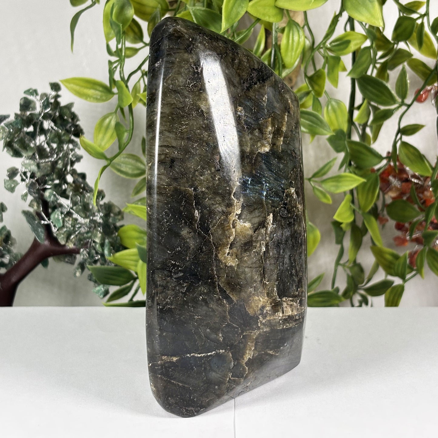 Natural Labradorite Freeform Crystal 6.75 Inch Polished Madagascar Flash Stone for Home Decor & Collectors