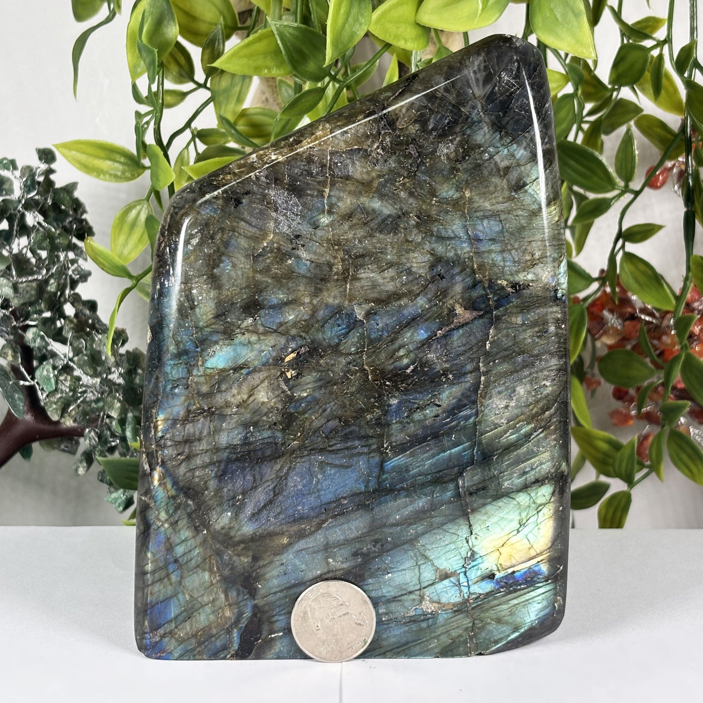 Natural Labradorite Freeform Crystal 6.75 Inch Polished Madagascar Flash Stone for Home Decor & Collectors