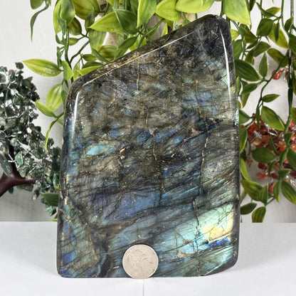 Natural Labradorite Freeform Crystal 6.75 Inch Polished Madagascar Flash Stone for Home Decor & Collectors