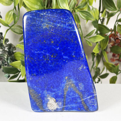 Lapis Lazuli Crystal Freeform - Gem Avenue Retail