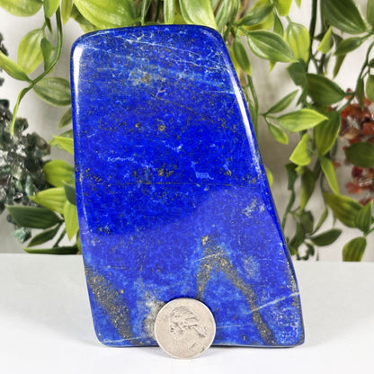 Lapis Lazuli Crystal Freeform - Gem Avenue Retail