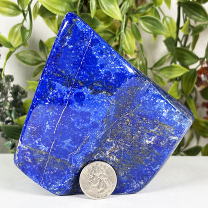 Lapis Lazuli Crystal Freeform  - Gem Avenue Retail 