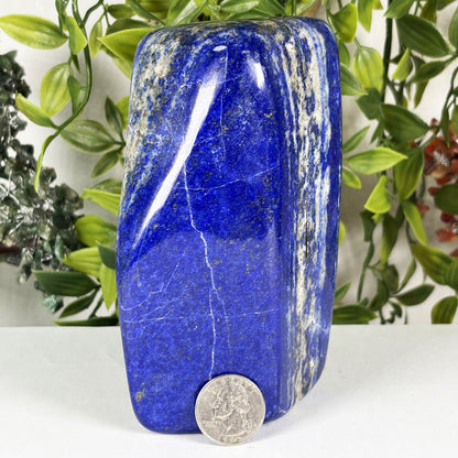 Lapis Lazuli Crystal Freeform - Gem Avenue Retail