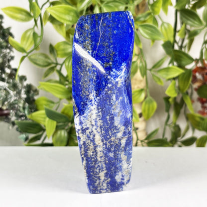 Lapis Lazuli Crystal Freeform - Gem Avenue Retail