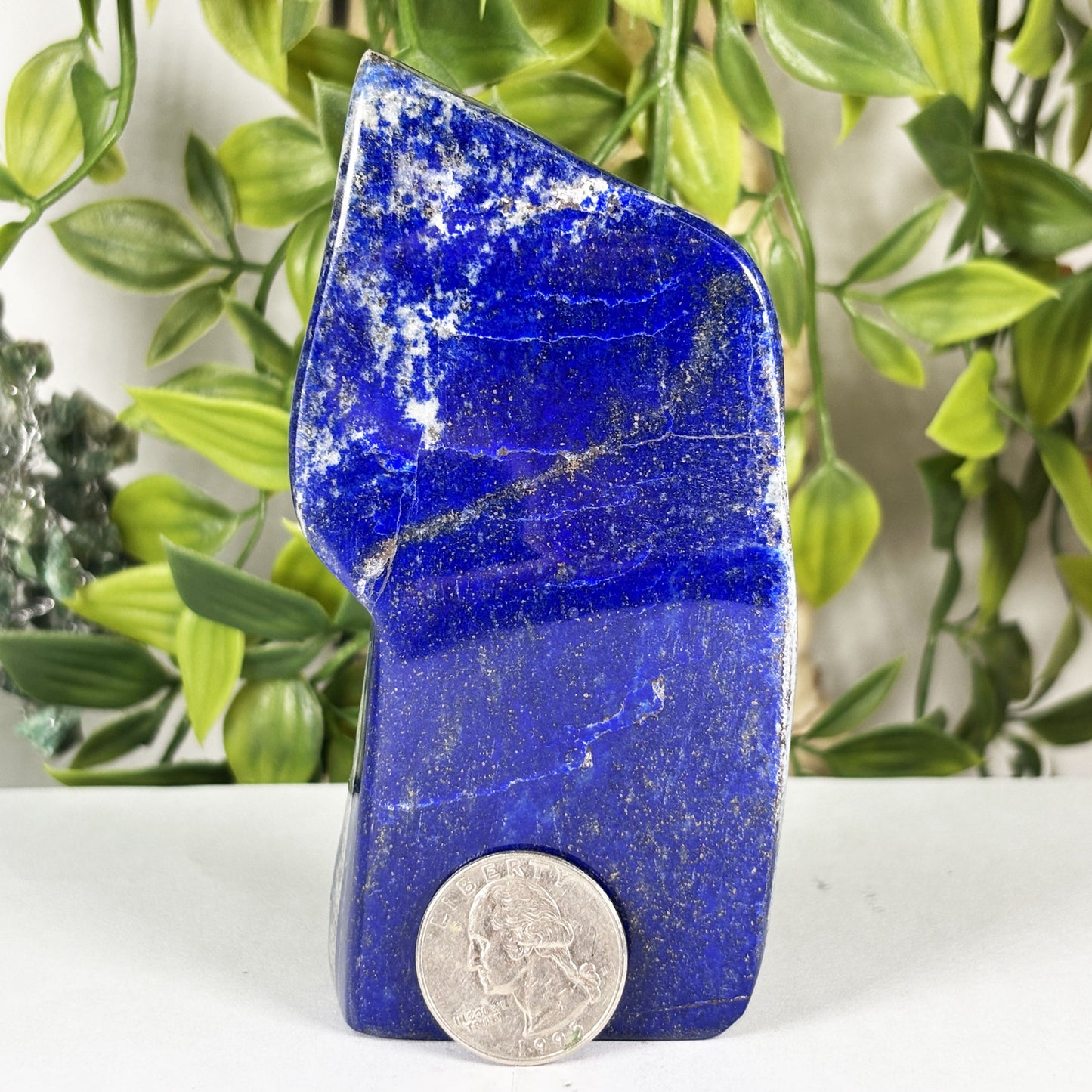 Natural Lapis Lazuli Freeform Crystal Specimen 9.3 oz Blue Display Stone Mineral Collector Decor