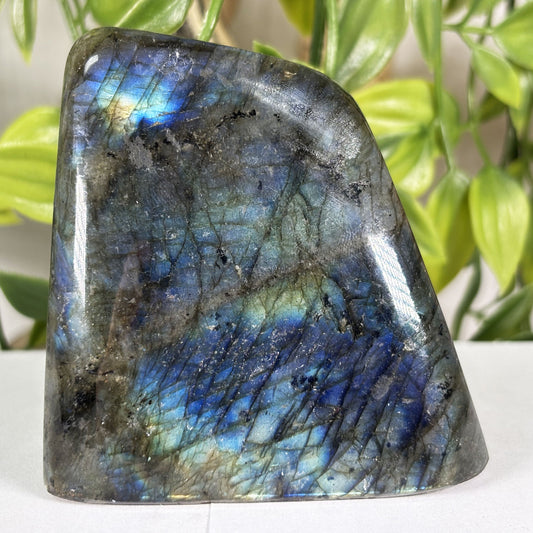 Labradorite Gemstone Freeform - Gem Avenue Retail