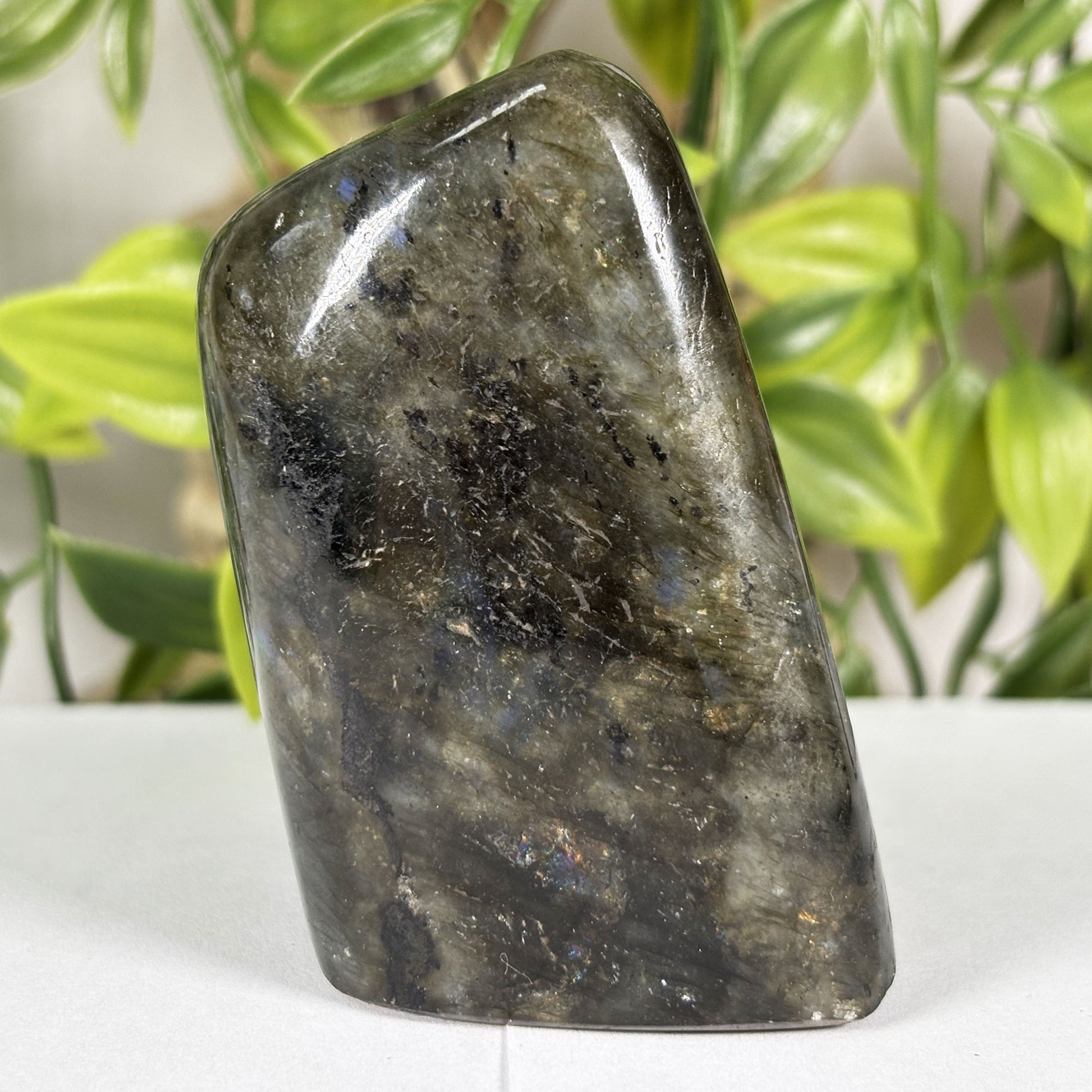 Labradorite Gemstone Freeform - Gem Avenue Retail