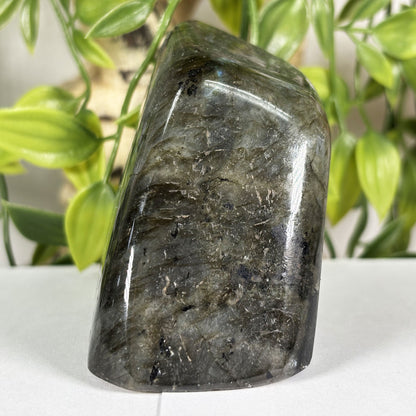 Labradorite Gemstone Freeform - Gem Avenue Retail