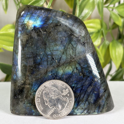 Labradorite Gemstone Freeform - Gem Avenue Retail