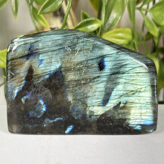 Labradorite Crystal Freeform - Gem Avenue Retail