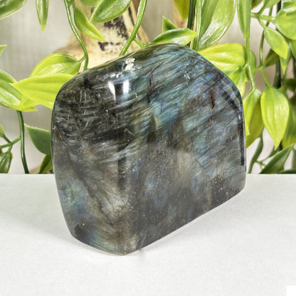 Labradorite Crystal Freeform - Gem Avenue Retail