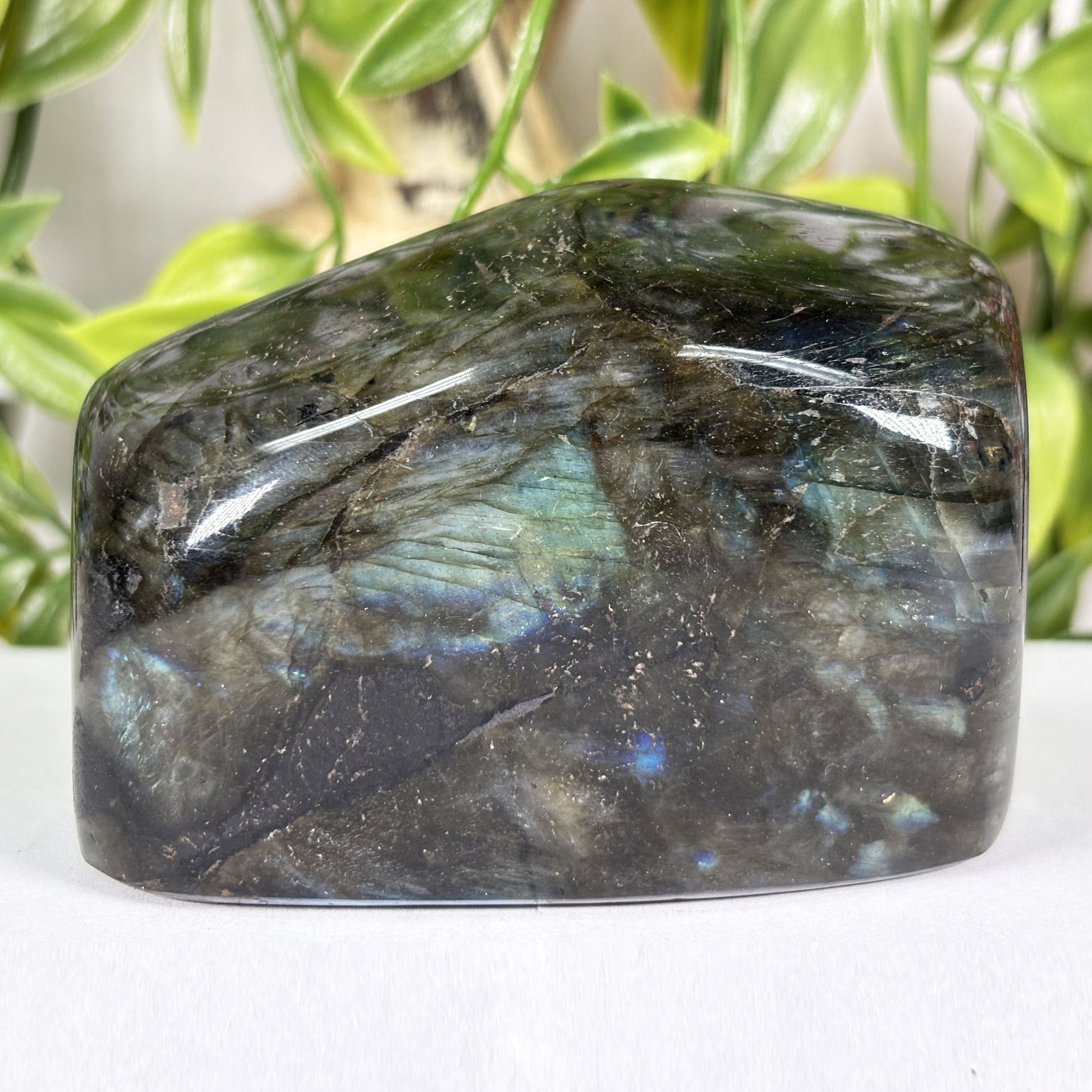 Labradorite Crystal Freeform - Gem Avenue Retail