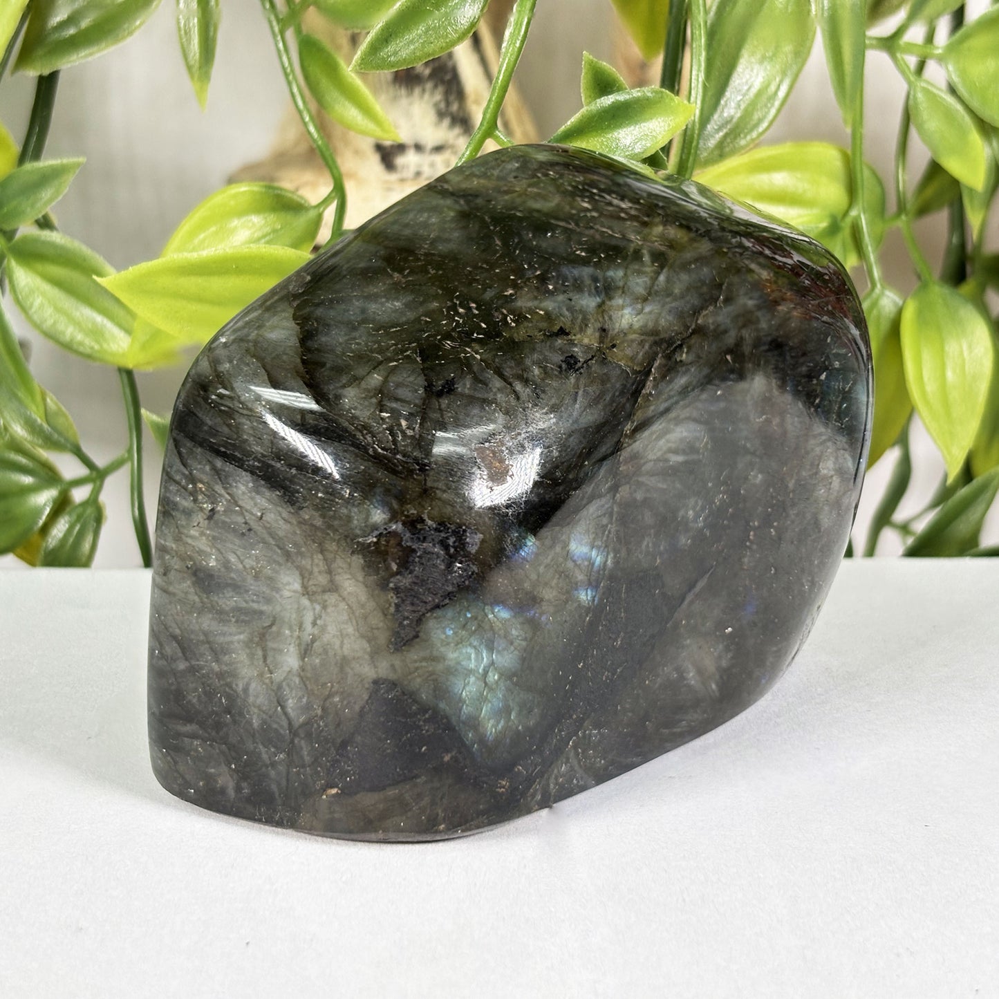 Labradorite Crystal Freeform - Gem Avenue Retail