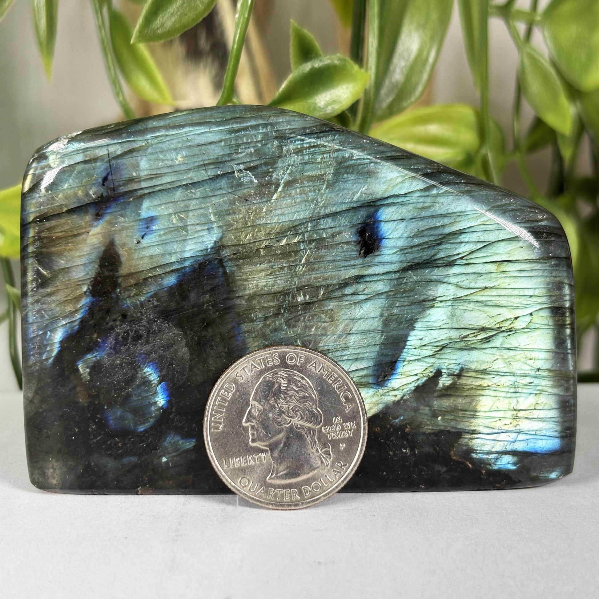 Labradorite Crystal Freeform - Gem Avenue Retail