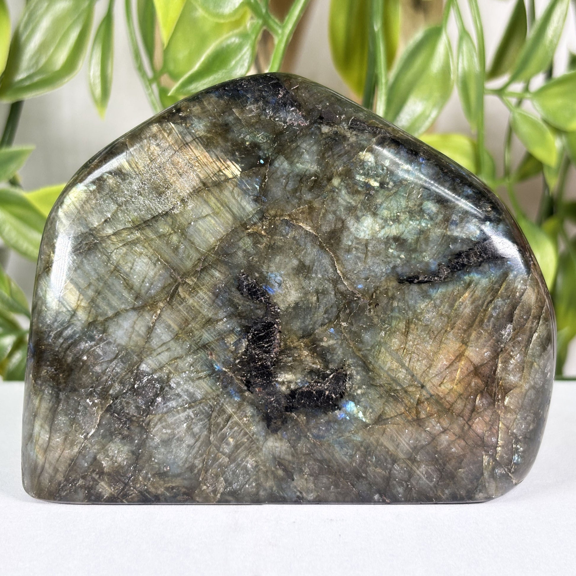 Labradorite Crystal Freeform - Gem Avenue Retail