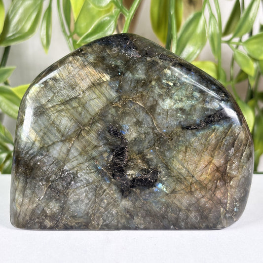 Labradorite Crystal Freeform - Gem Avenue Retail