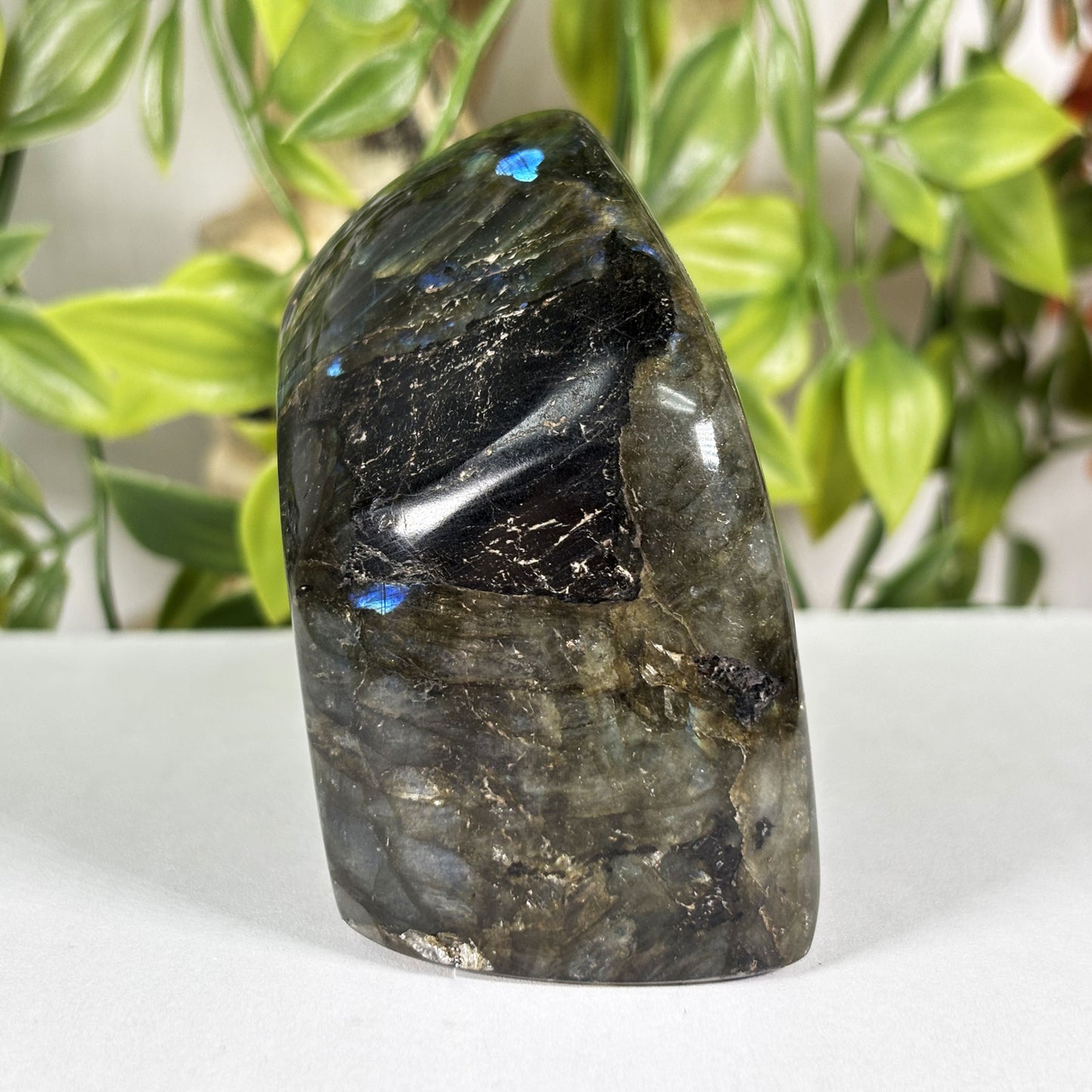 Labradorite Crystal Freeform - Gem Avenue Retail