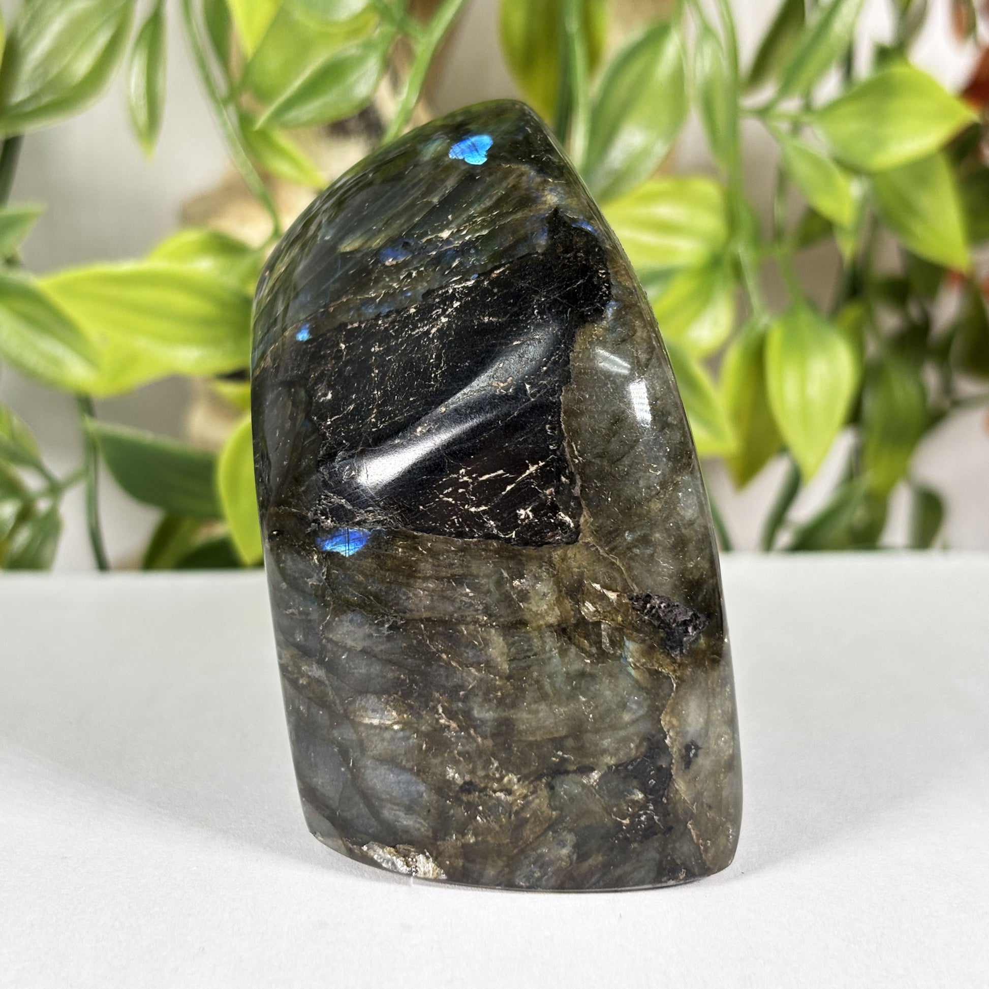 Labradorite Crystal Freeform - Gem Avenue Retail