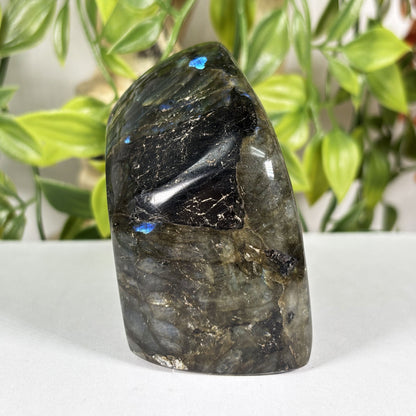 Labradorite Crystal Freeform - Gem Avenue Retail