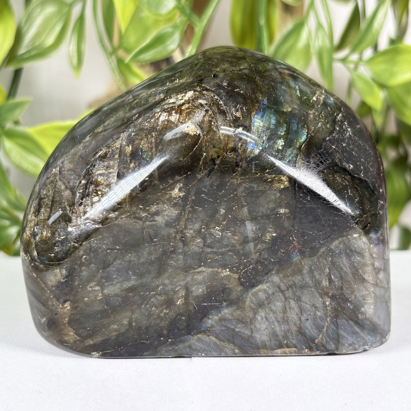 Labradorite Crystal Freeform - Gem Avenue Retail